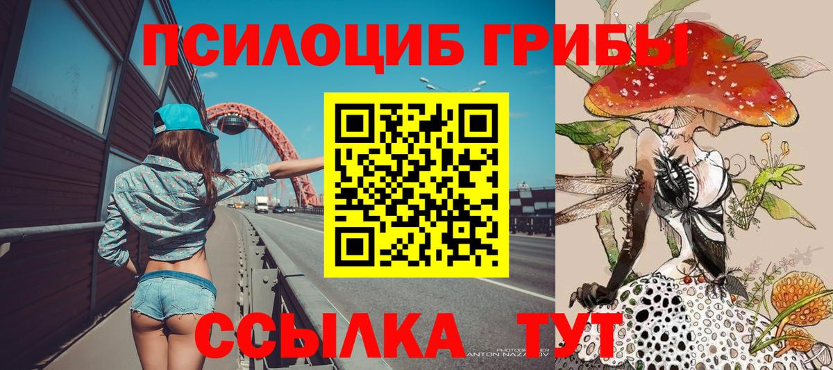 Псилоцибиновые грибы Cubensis Геленджик