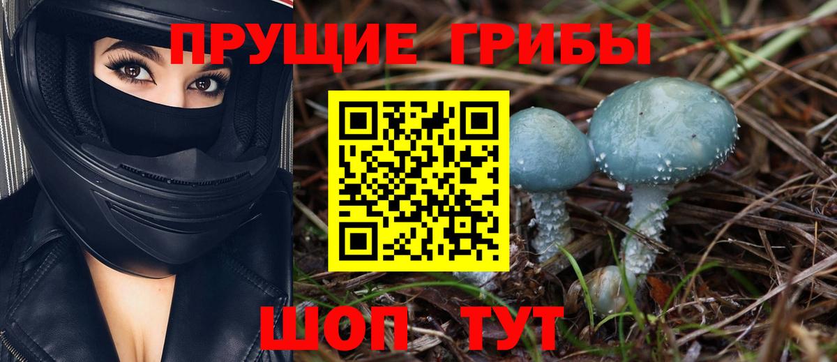 Галлюциногенные грибы GOLDEN TEACHER  Вход с VPN  Псилоцибиновые грибы прущие грибы  Геленджик 